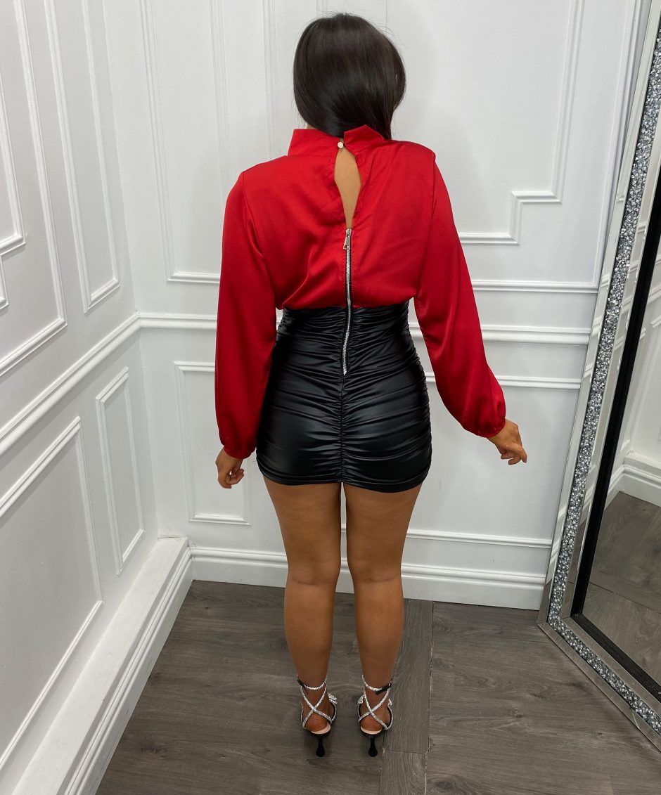RED LEATHER BACK copy
