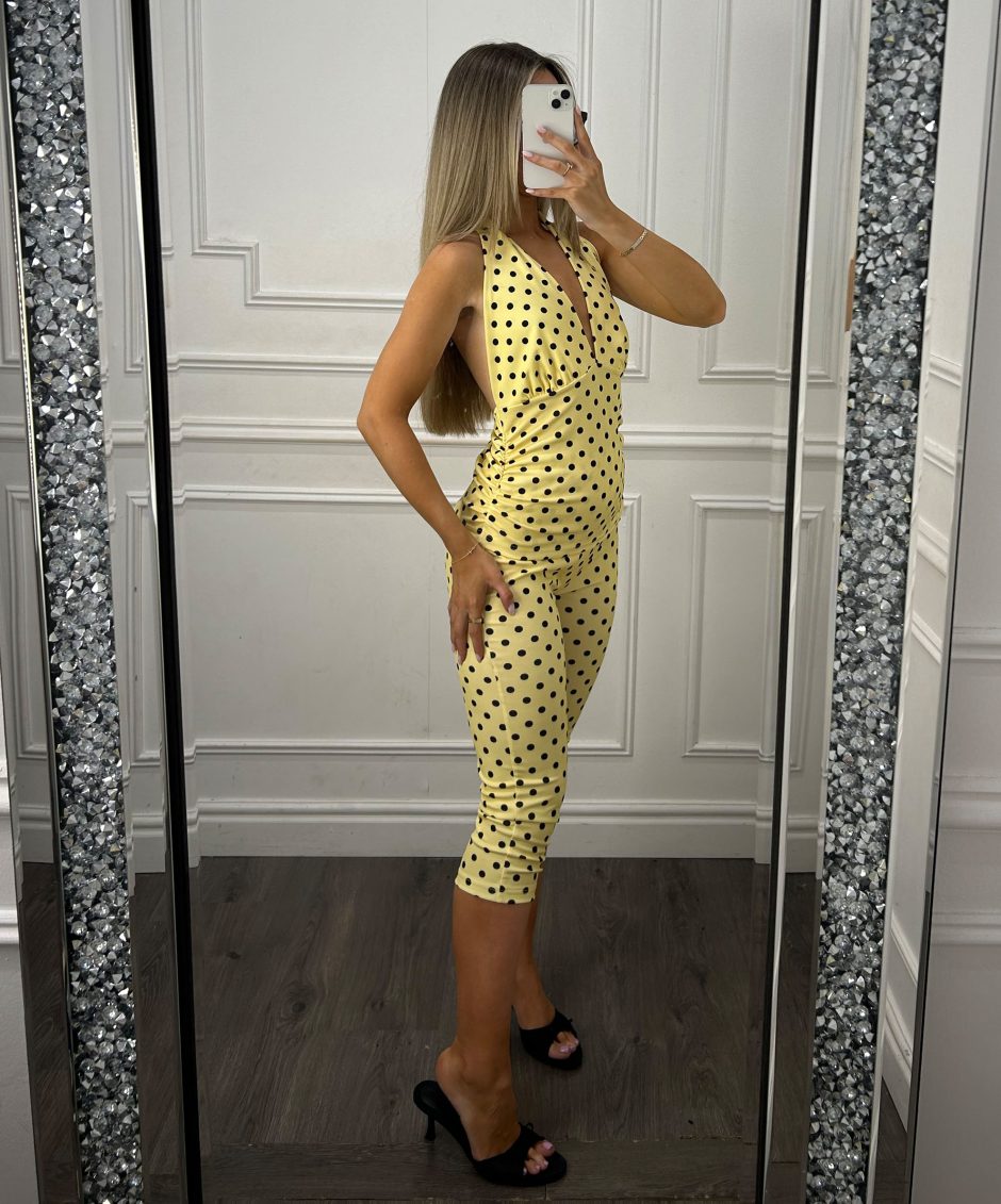 newpolka7